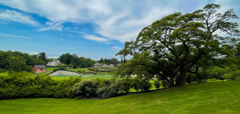 Fields和Cambrian行-Summer